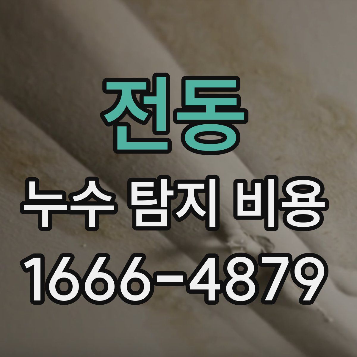 전동 누수 탐지 비용