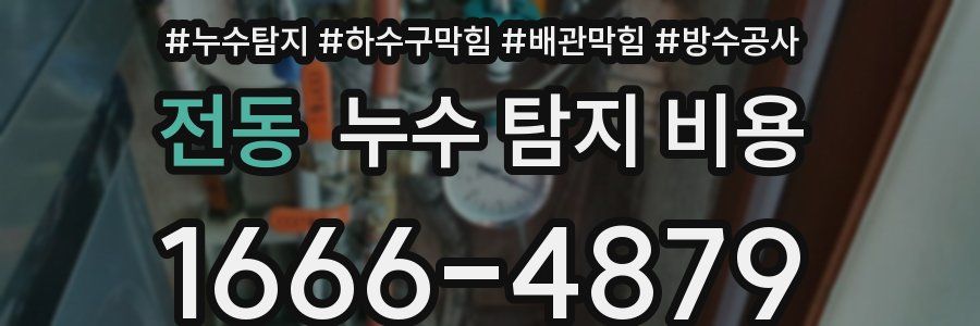전동 누수 탐지 비용