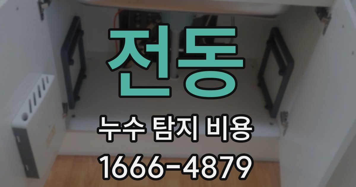 전동 누수 탐지 비용