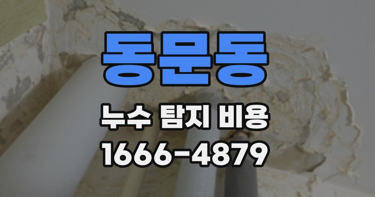 동문동 누수 탐지 비용