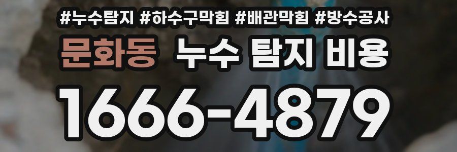 문화동 누수 탐지 비용