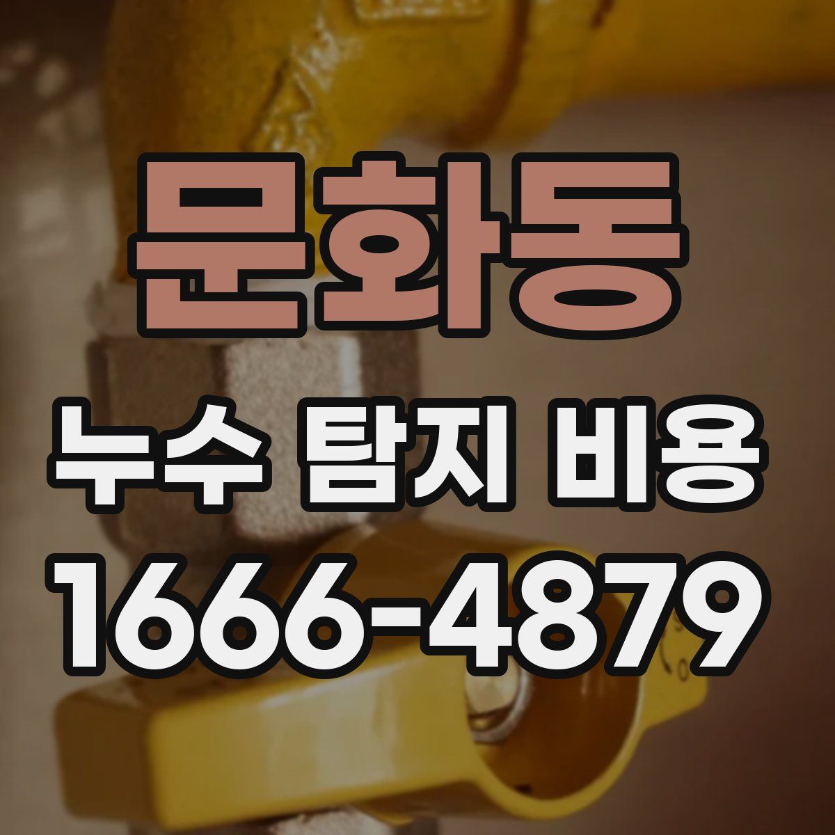 문화동 누수 탐지 비용