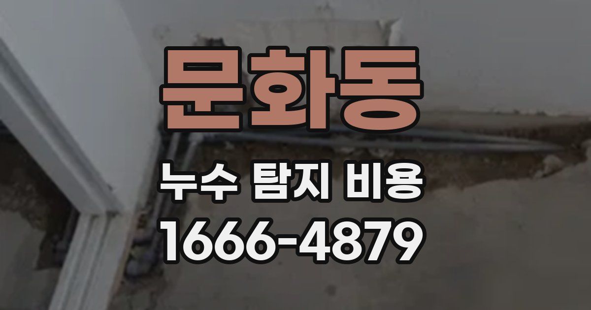 문화동 누수 탐지 비용