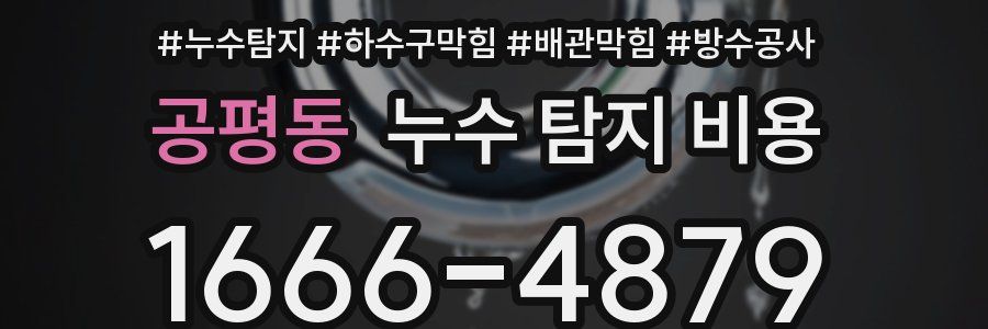 공평동 누수 탐지 비용