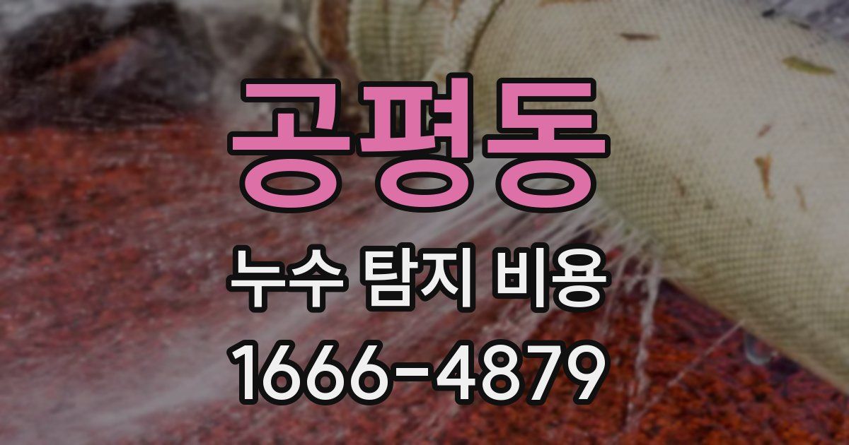 공평동 누수 탐지 비용