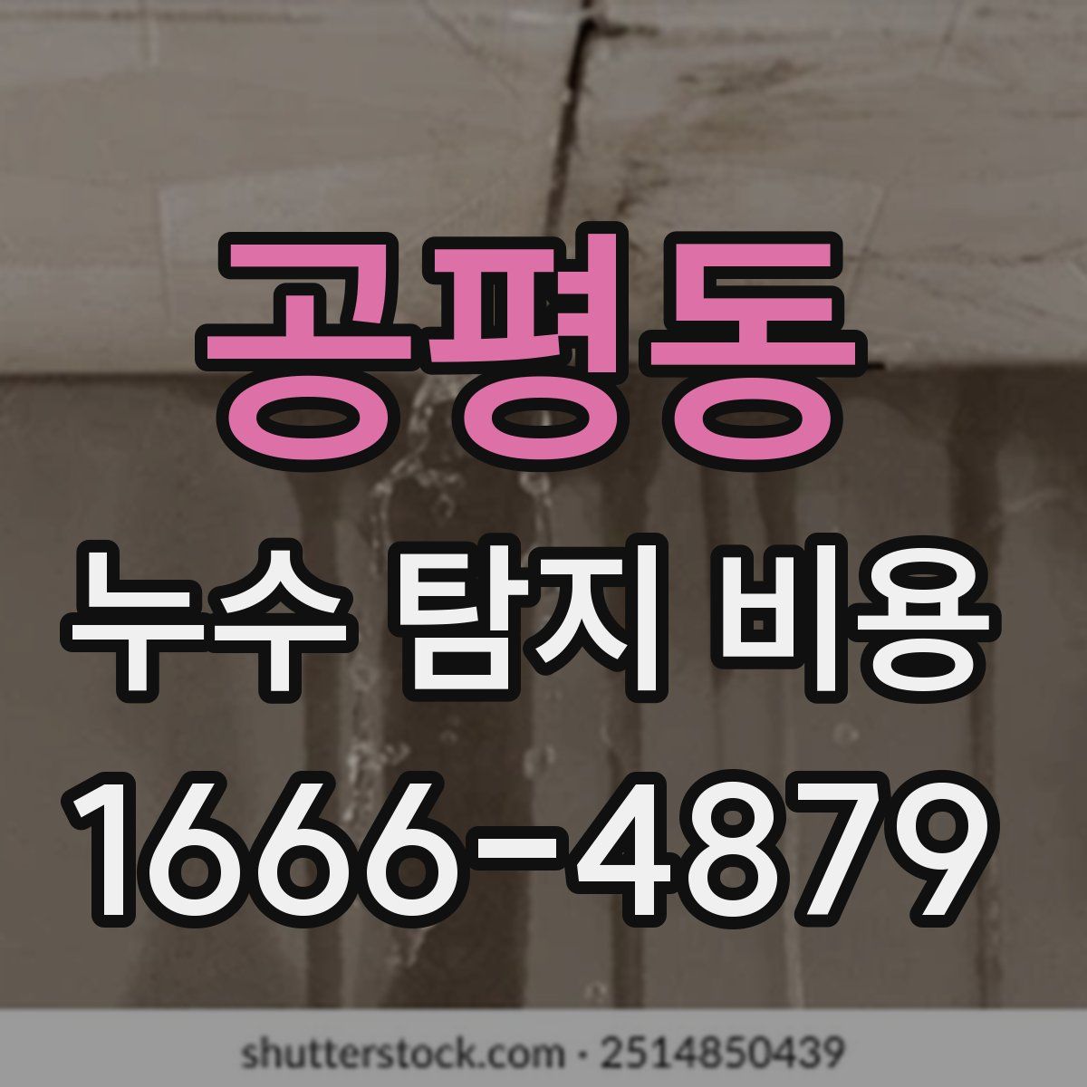 공평동 누수 탐지 비용