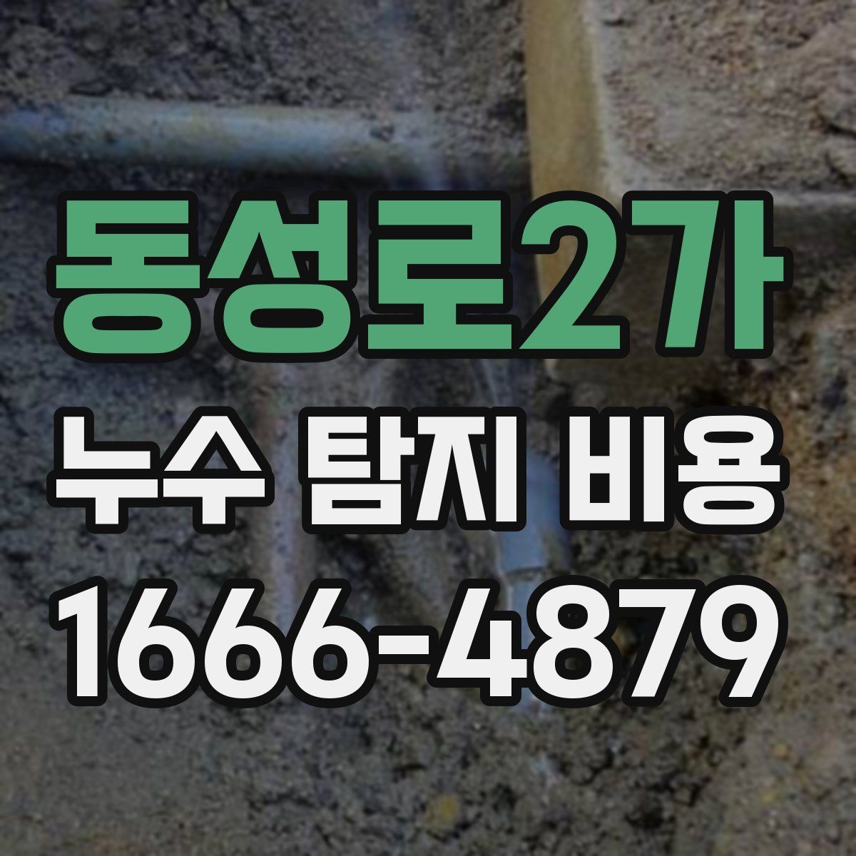 동성로2가 누수 탐지 비용
