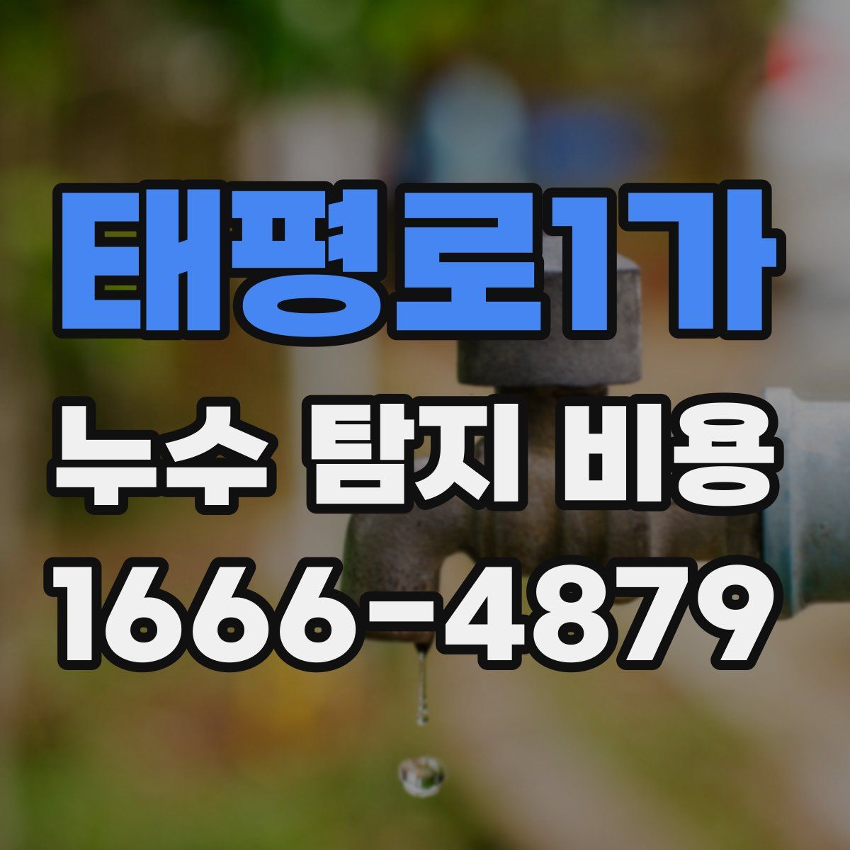 태평로1가 누수 탐지 비용