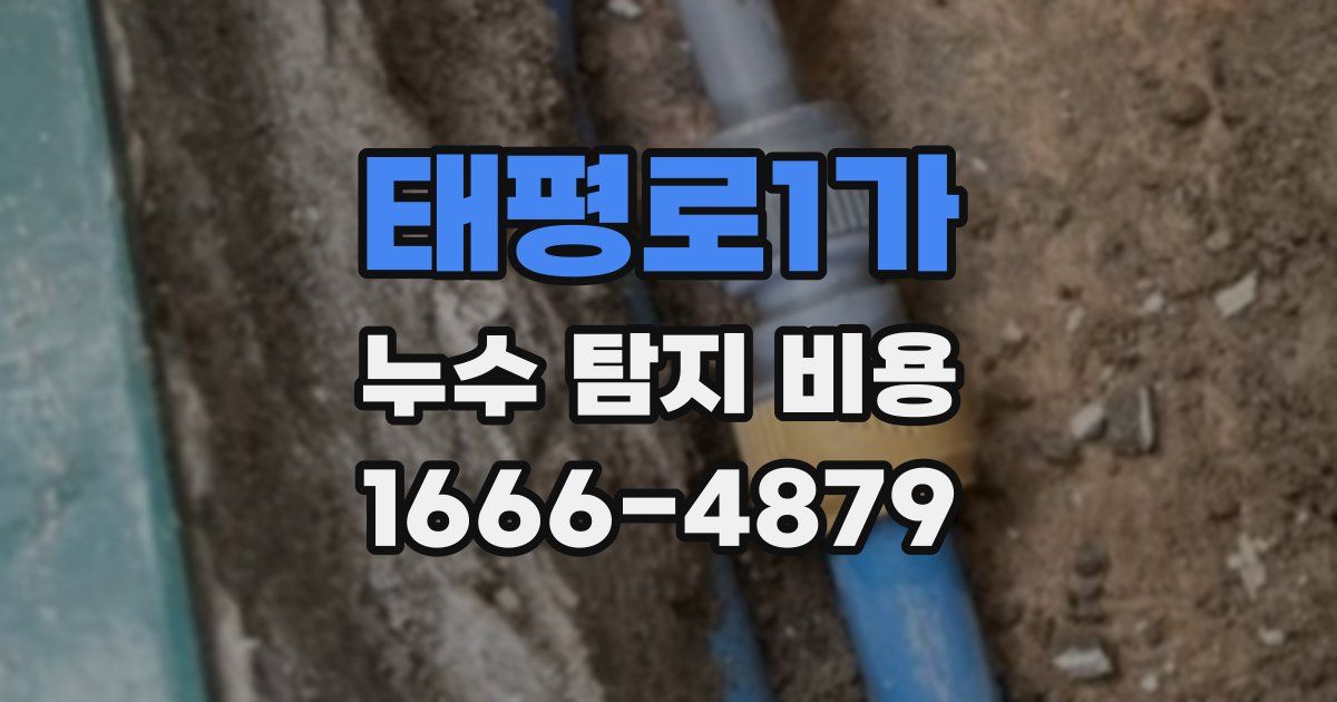 태평로1가 누수 탐지 비용