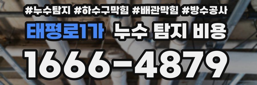 태평로1가 누수 탐지 비용