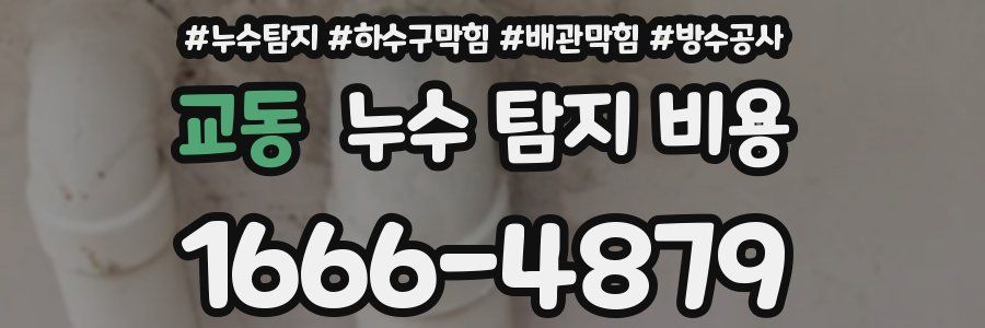 교동 누수 탐지 비용