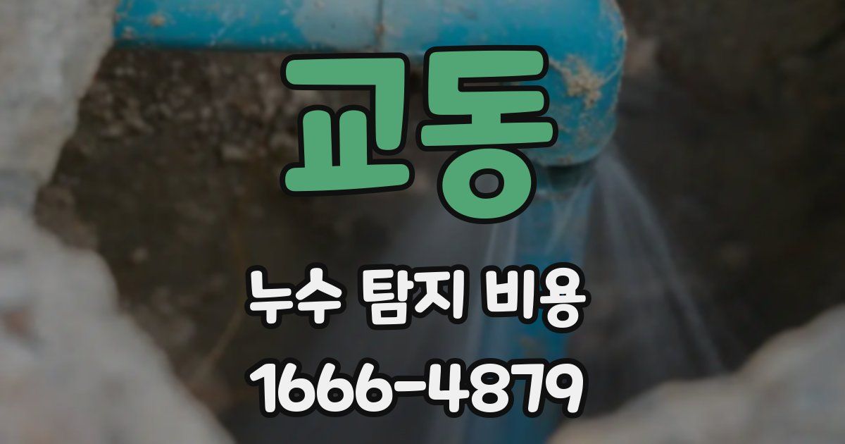 교동 누수 탐지 비용