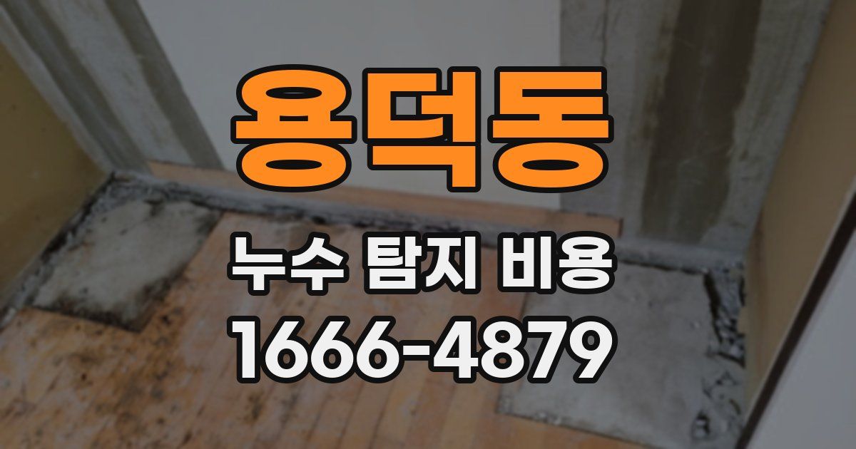 용덕동 누수 탐지 비용
