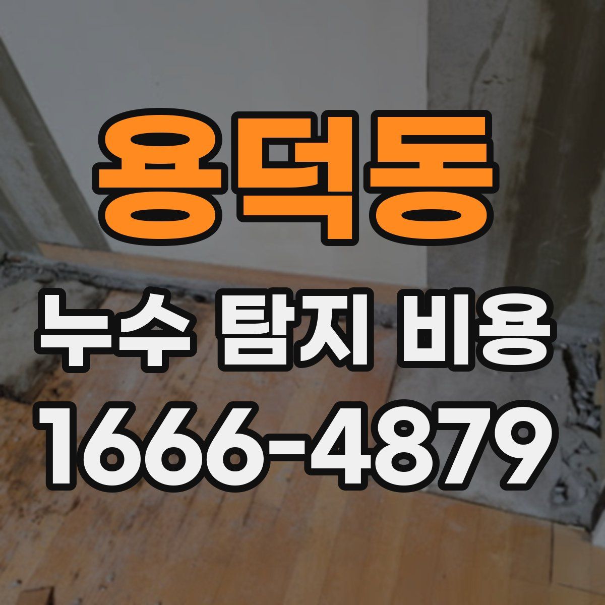 용덕동 누수 탐지 비용