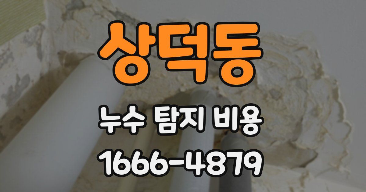 상덕동 누수 탐지 비용