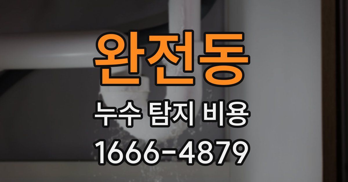 완전동 누수 탐지 비용