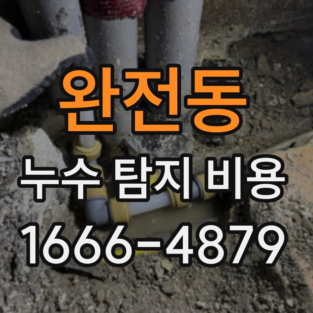 완전동 누수 탐지 비용