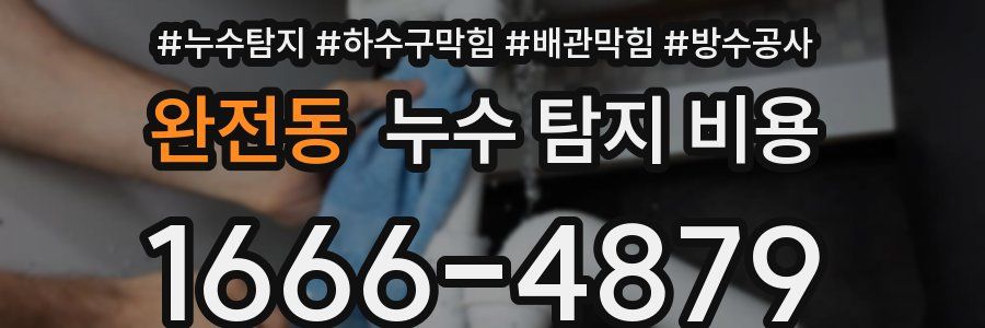 완전동 누수 탐지 비용