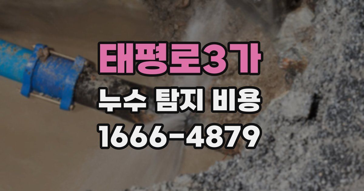 태평로3가 누수 탐지 비용