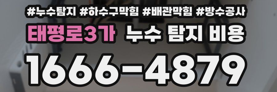 태평로3가 누수 탐지 비용