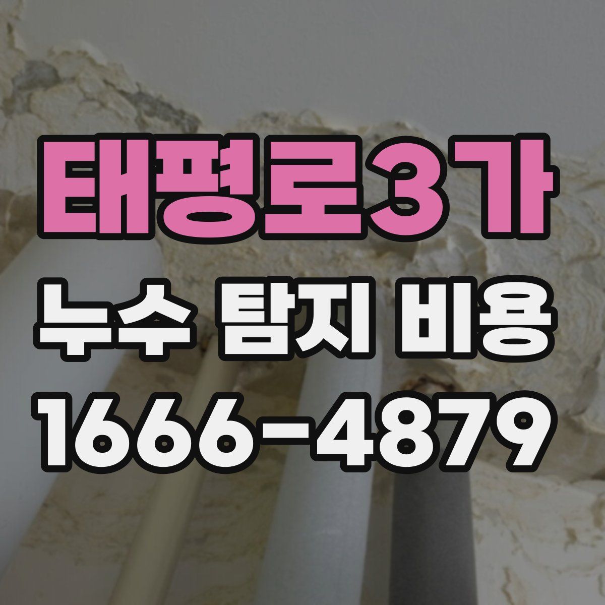 태평로3가 누수 탐지 비용