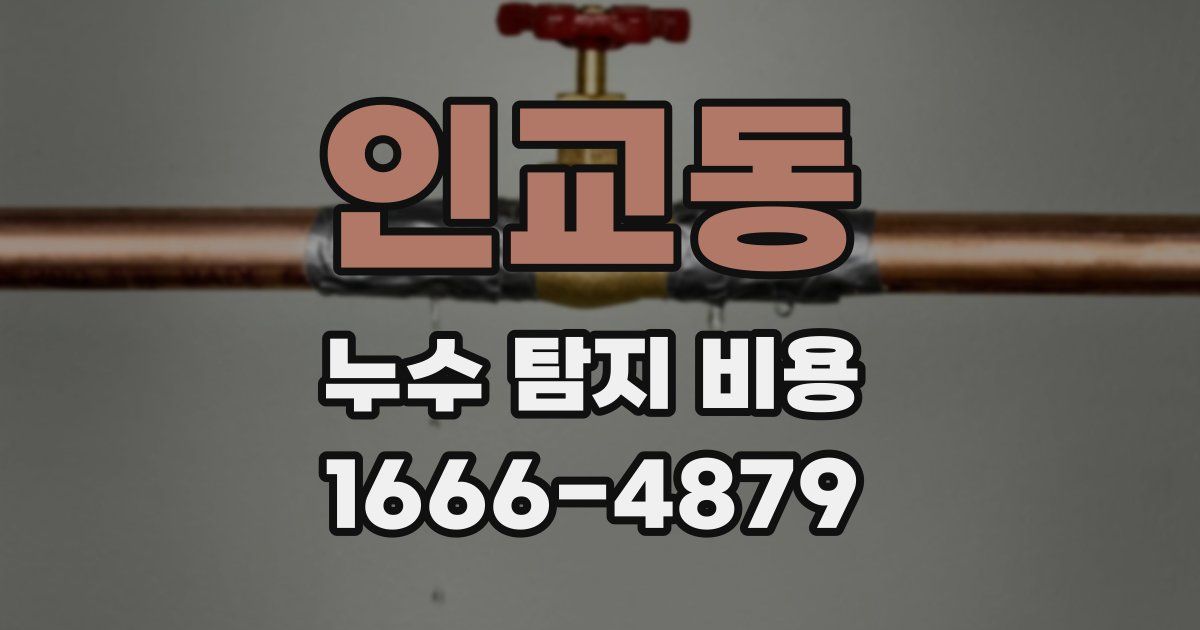 인교동 누수 탐지 비용