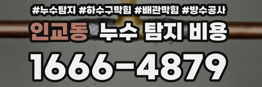 인교동 누수 탐지 비용