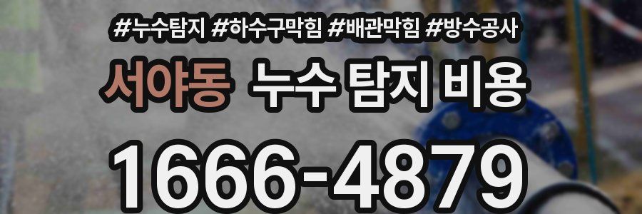 서야동 누수 탐지 비용