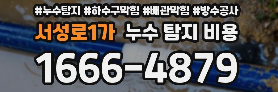 서성로1가 누수 탐지 비용