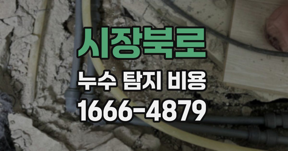 시장북로 누수 탐지 비용