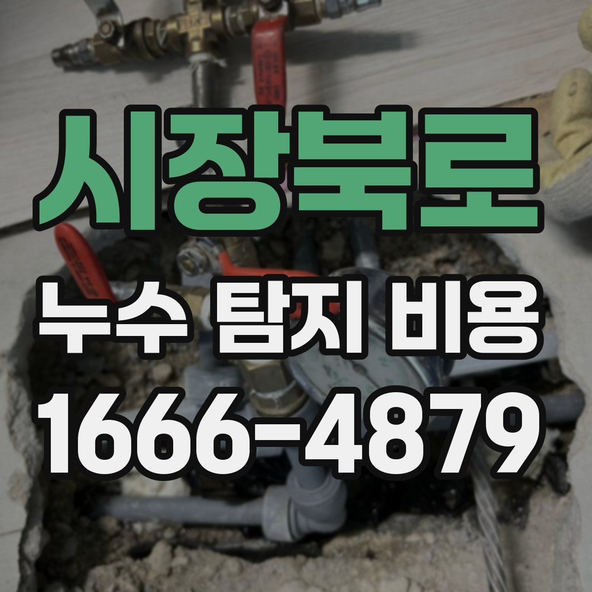 시장북로 누수 탐지 비용
