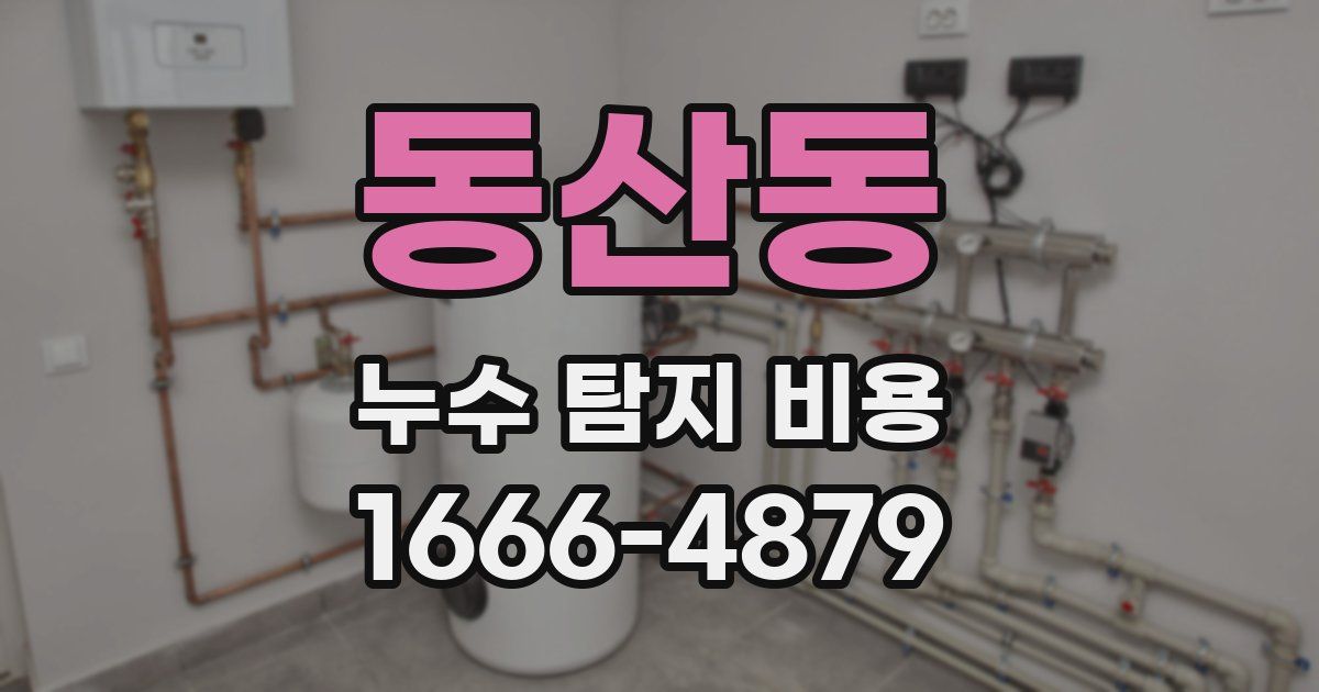 동산동 누수 탐지 비용
