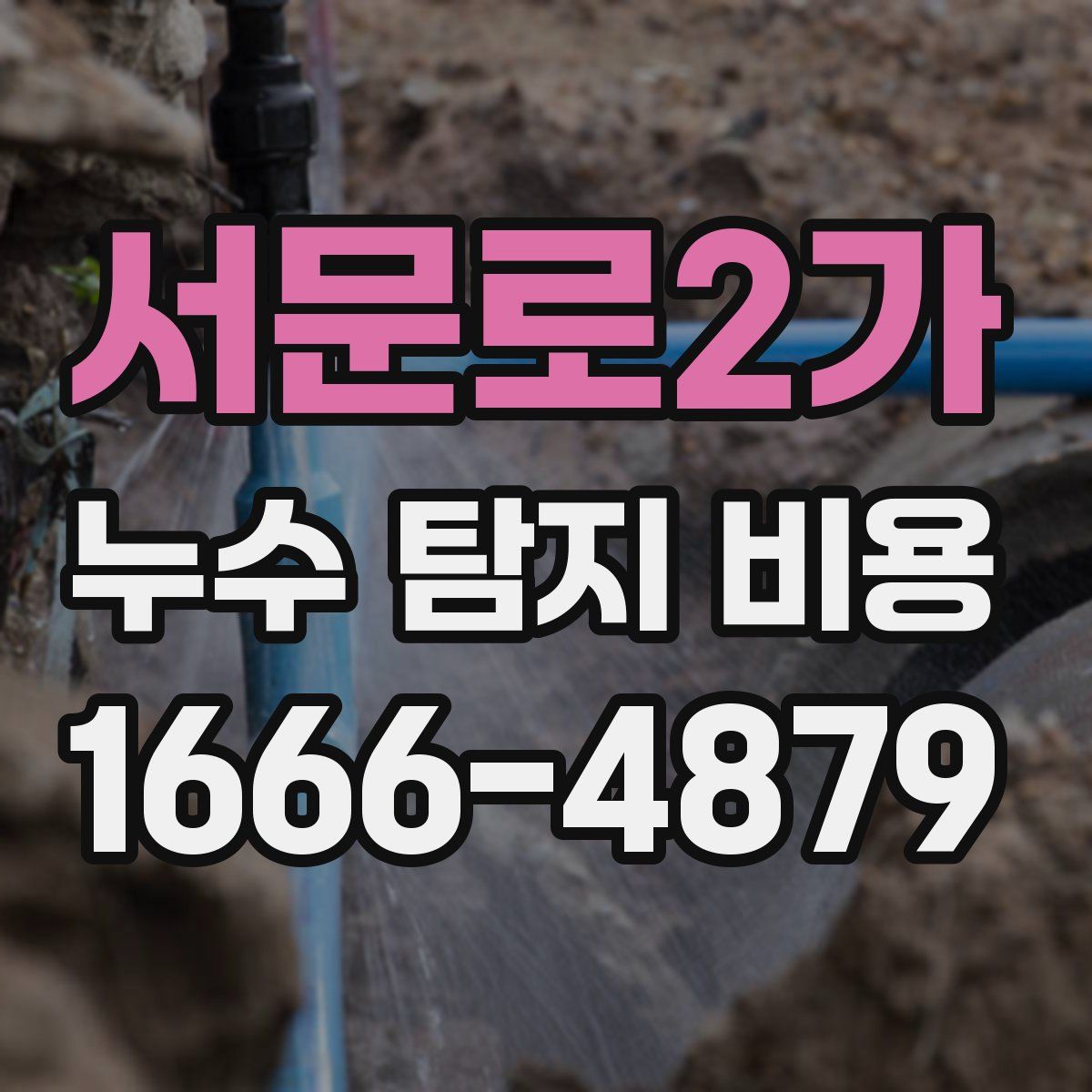 서문로2가 누수 탐지 비용