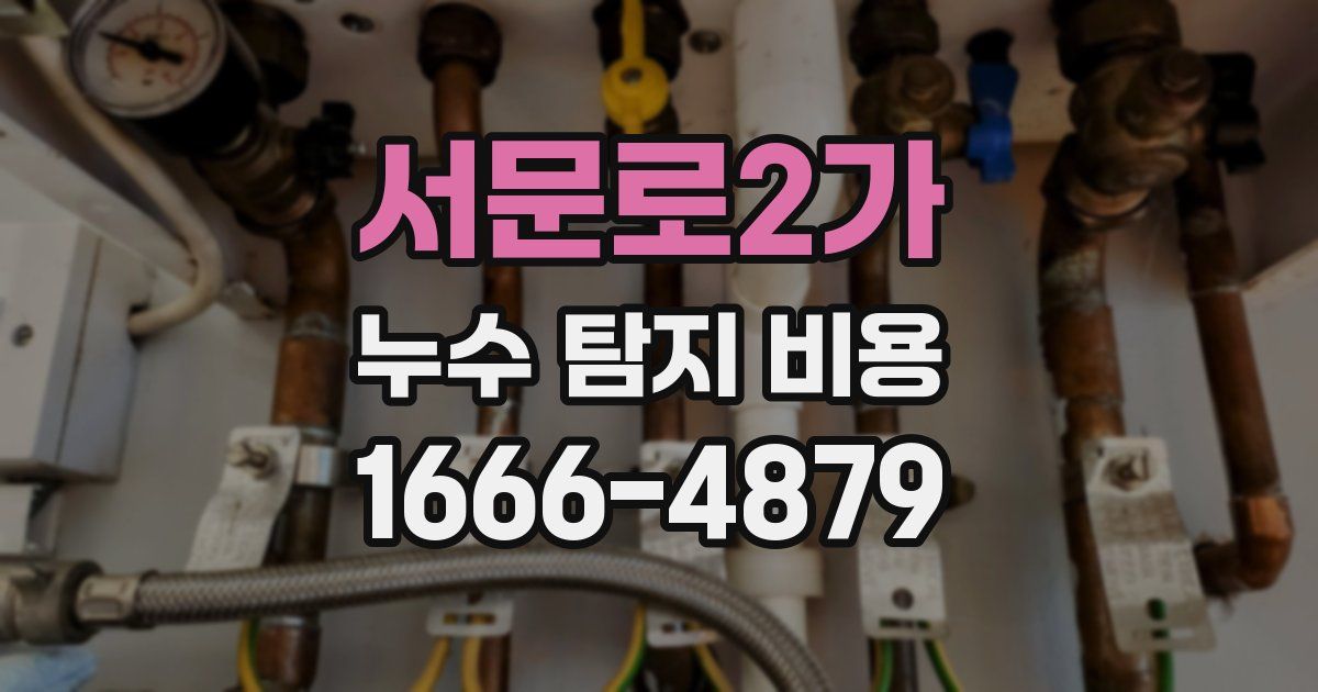 서문로2가 누수 탐지 비용