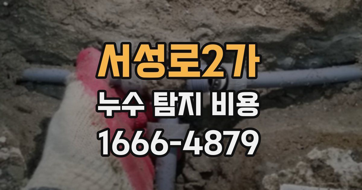 서성로2가 누수 탐지 비용