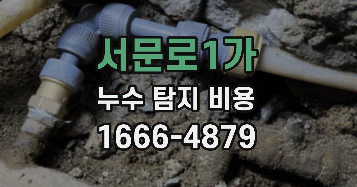 서문로1가 누수 탐지 비용