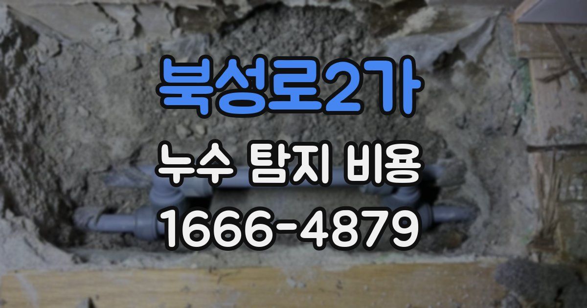 북성로2가 누수 탐지 비용