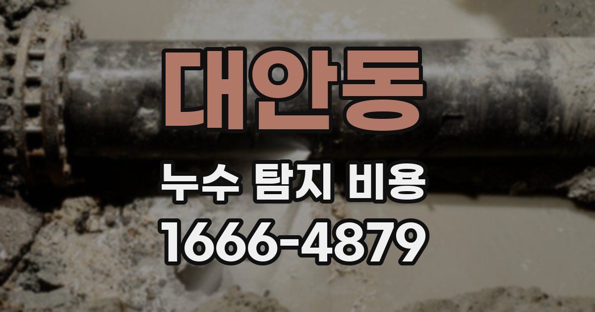 대안동 누수 탐지 비용