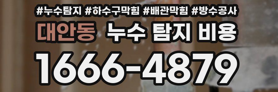 대안동 누수 탐지 비용