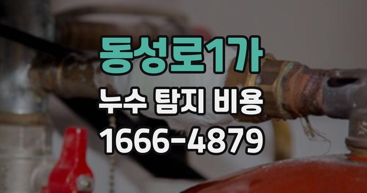 동성로1가 누수 탐지 비용