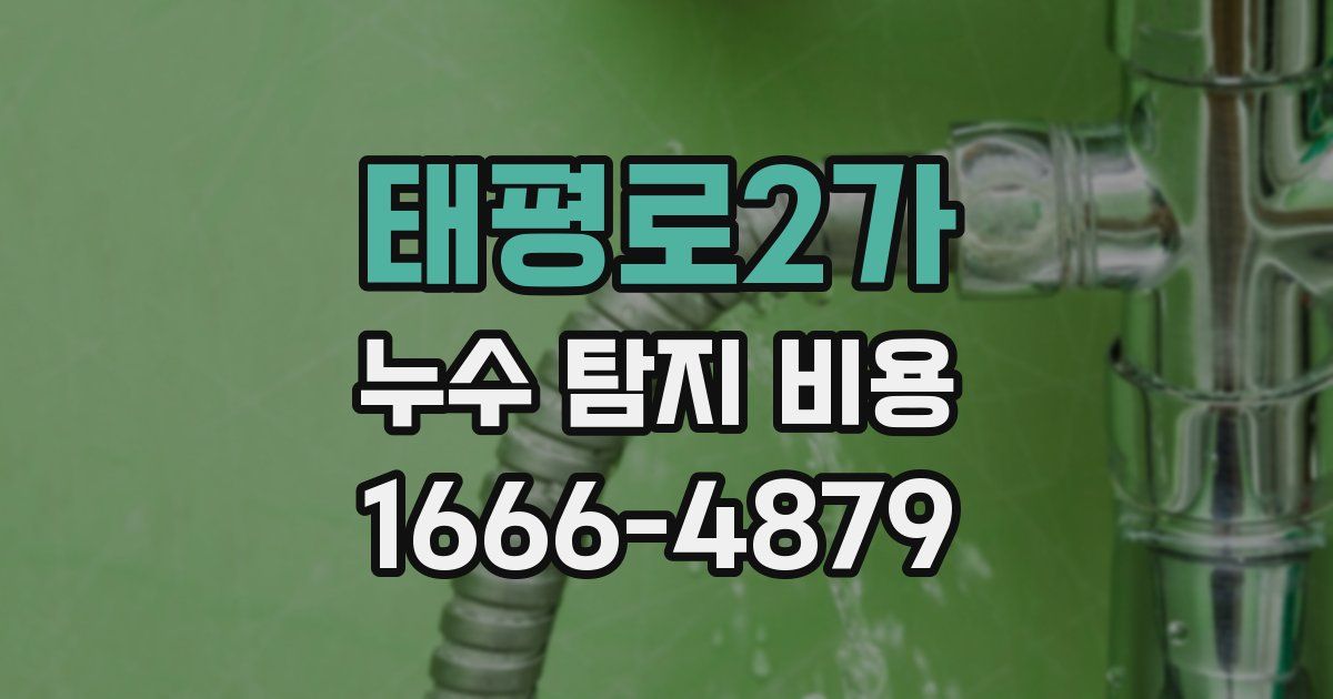 태평로2가 누수 탐지 비용