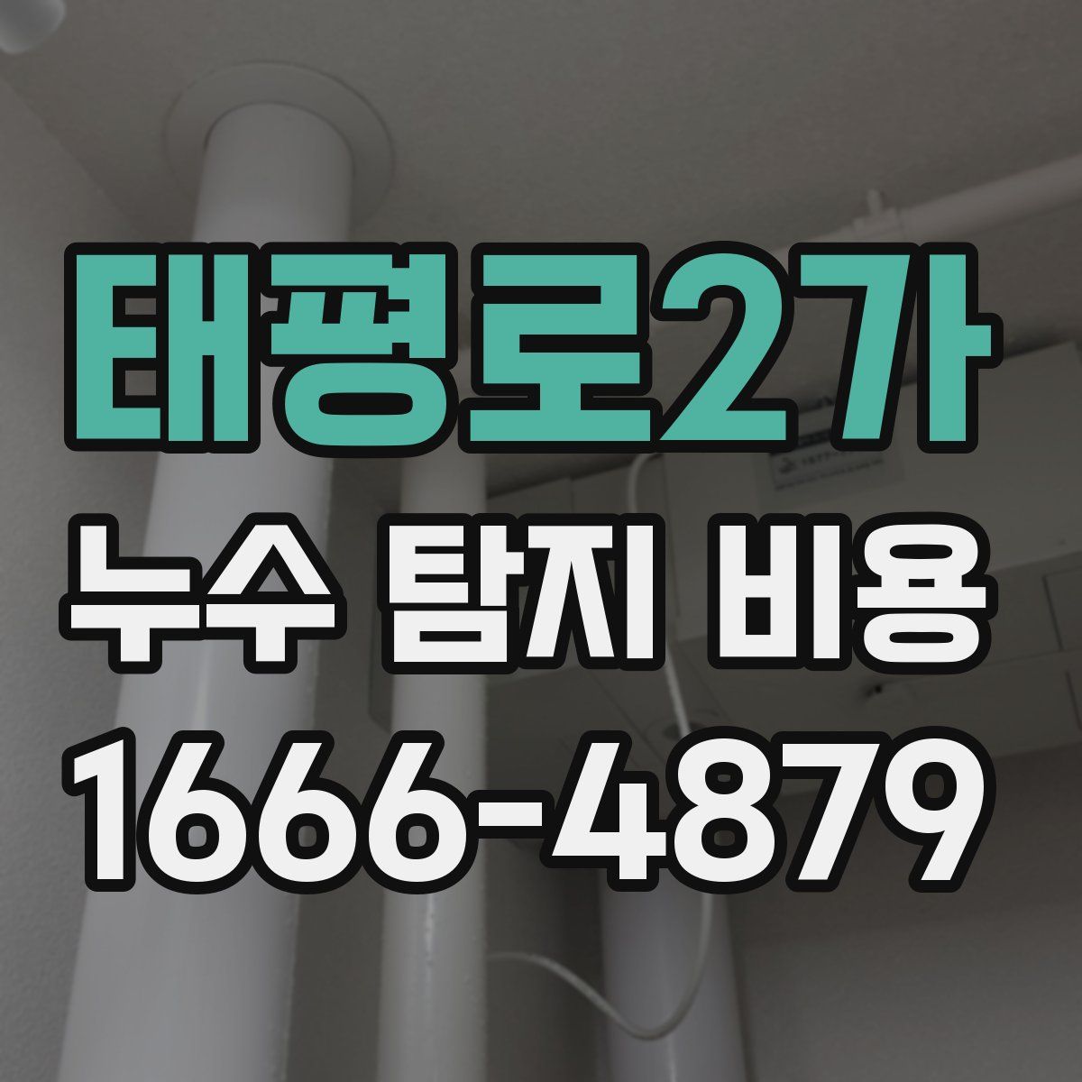 태평로2가 누수 탐지 비용