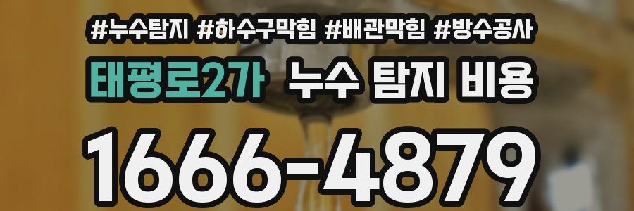 태평로2가 누수 탐지 비용
