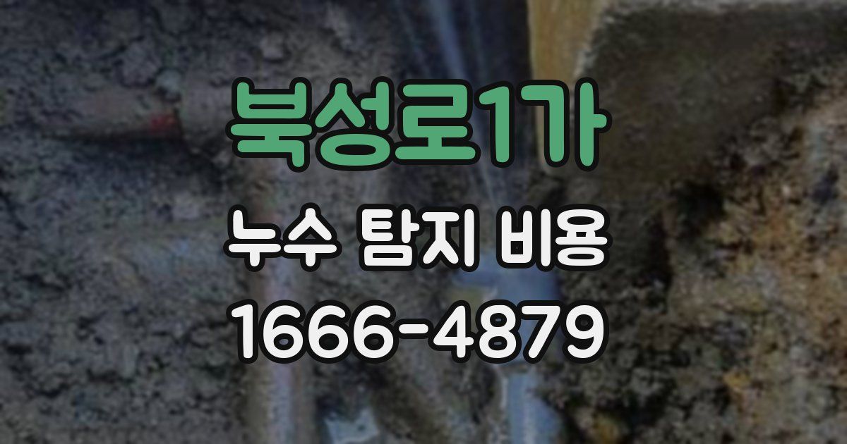 북성로1가 누수 탐지 비용