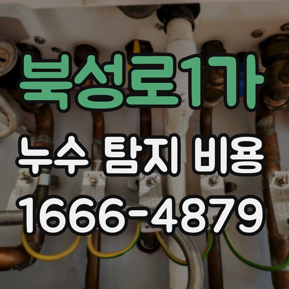 북성로1가 누수 탐지 비용