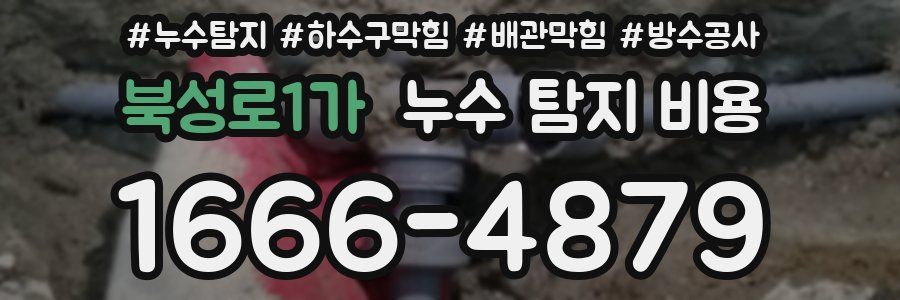 북성로1가 누수 탐지 비용