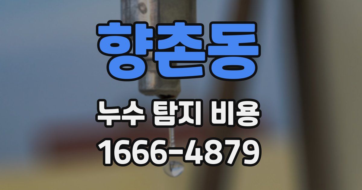 향촌동 누수 탐지 비용