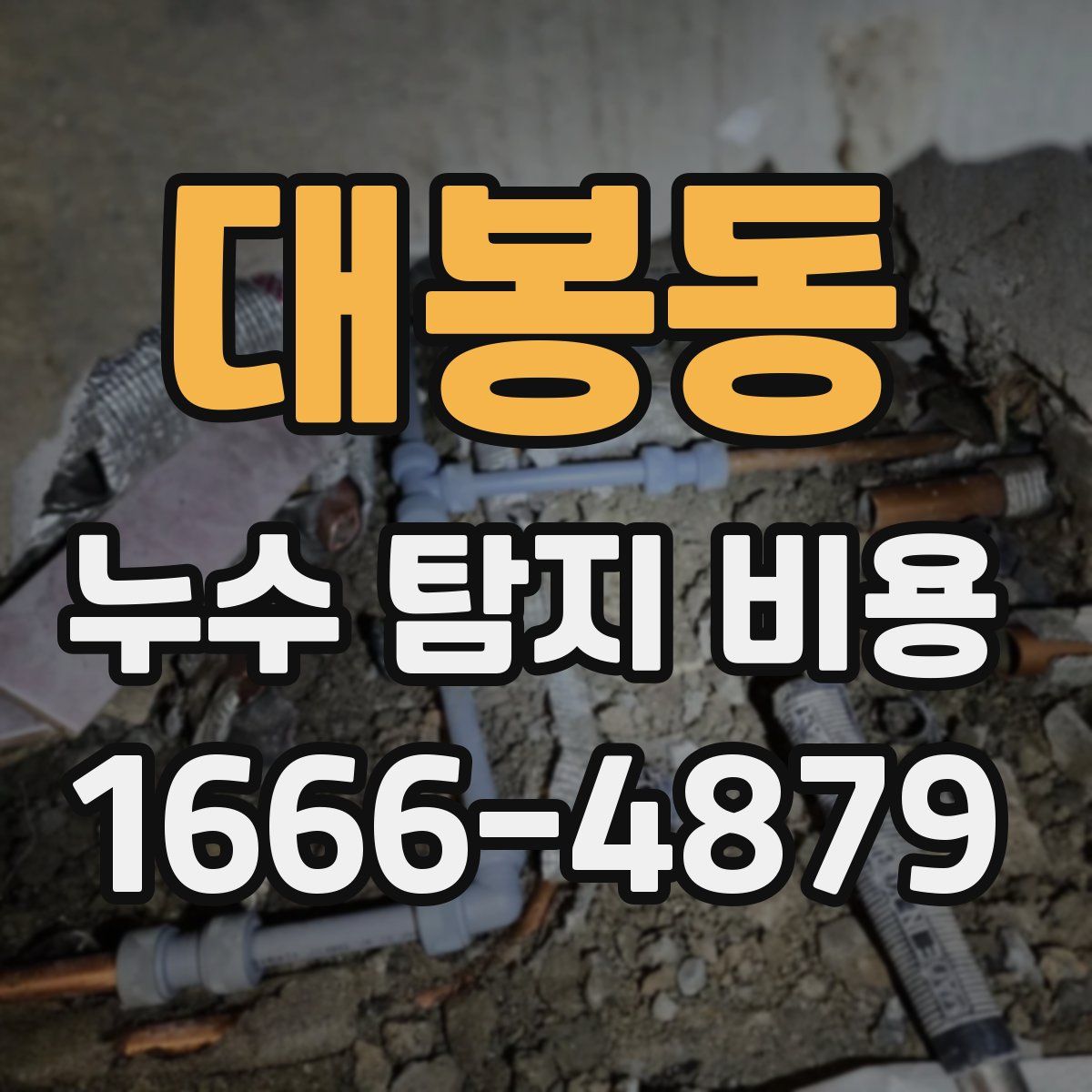 대봉동 누수 탐지 비용
