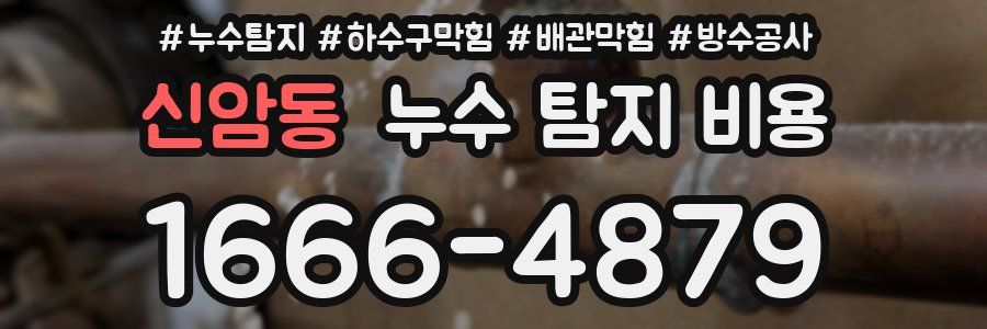 신암동 누수 탐지 비용