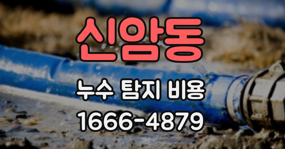 신암동 누수 탐지 비용